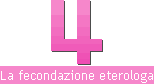 La fecondazione eterologa